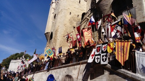 “La rose d’or” in Avignon. It’s a festival from 9th to 17th cent.Hundreds reenactors come, this is t