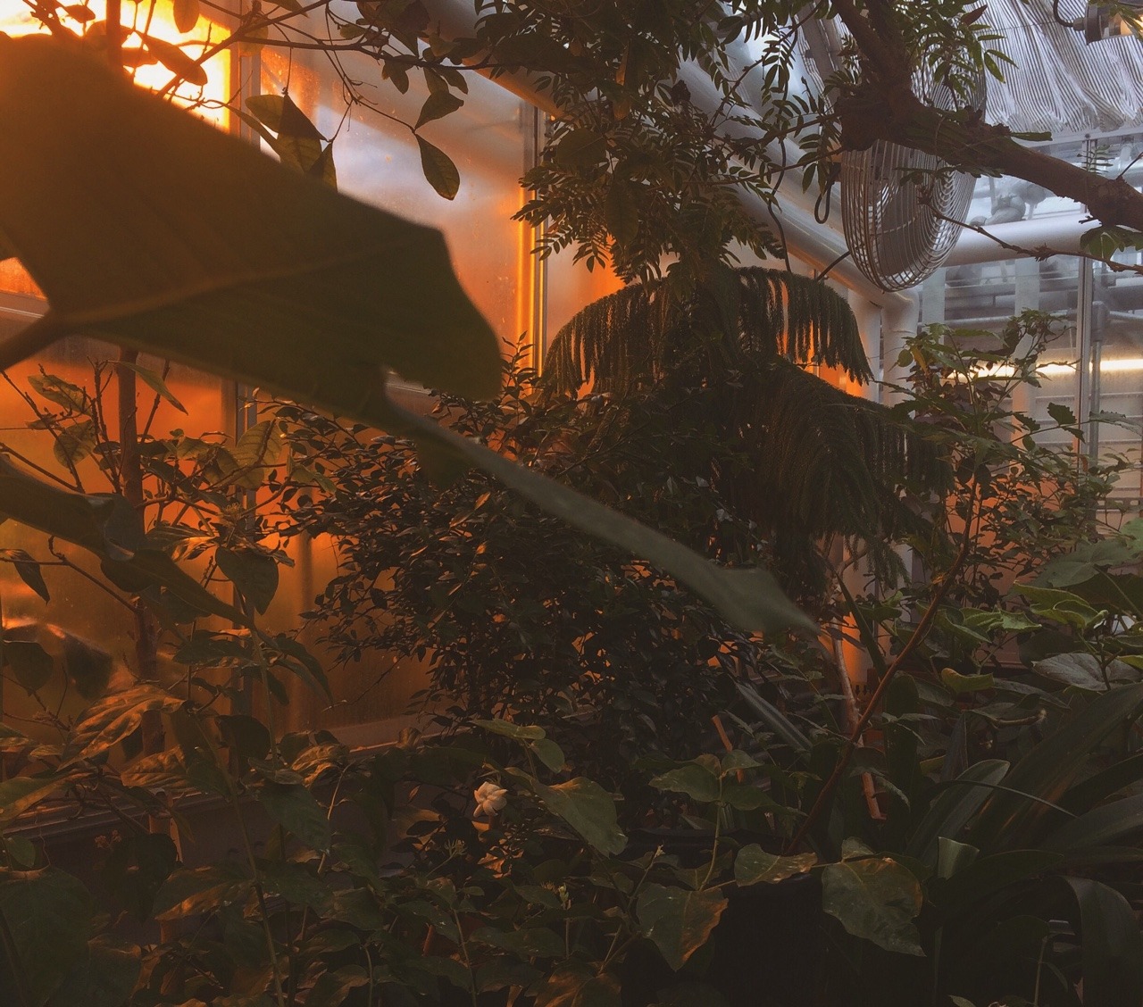 gradientgod:  A tiny gem in the city
