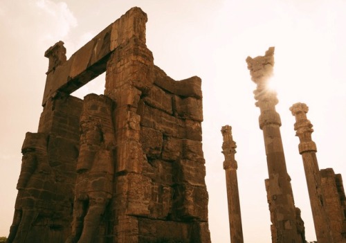 thoughtsforbees:snippets of Persepolis