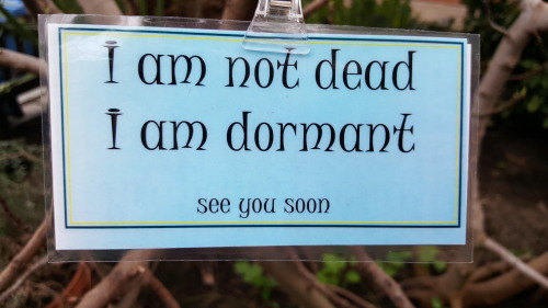 you-have-startled-the-witch: baked-barbie: I want this on my tombstone [ Image is a photo of a label