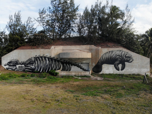 Monumental Murals of Anatomical Creatures by ROA Celebrate Puerto Rico’s Biodiversity