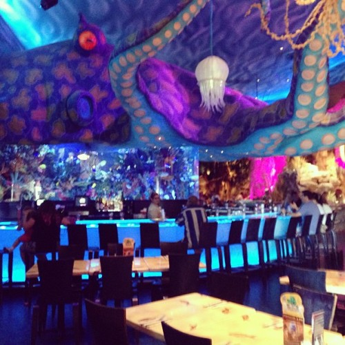 thesmileoctopus: cmill: My favorite bar at trex! #downtown #octopus #bar #fishtank #tanked What is t
