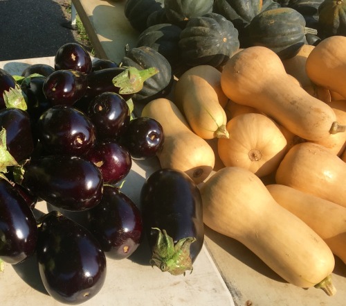 Eggplants and squash, Oak-Marr Farmers Market, Oakton, ole Virginny, 2016.