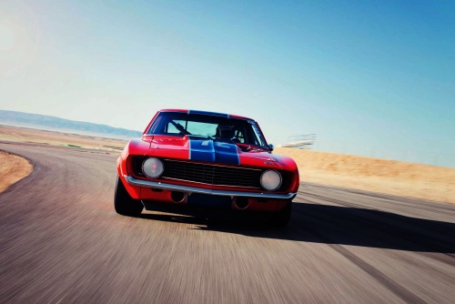 theoldiebutgoodie:  1969 Chevrolet Camaro Z/28 Trans Am Spec. 