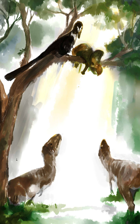 antediluvianechoes: Velociraptor and Juvenile Tarbosaurus by Guindagear It’s hard to put a Pro