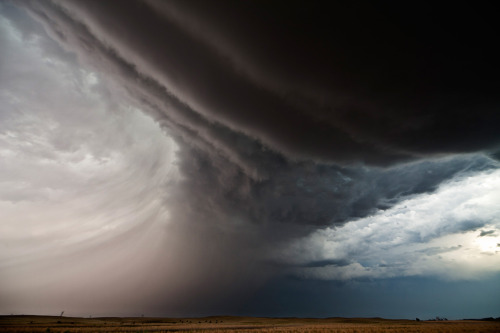 Sex ted:  Photos from a real-life storm chaser: pictures