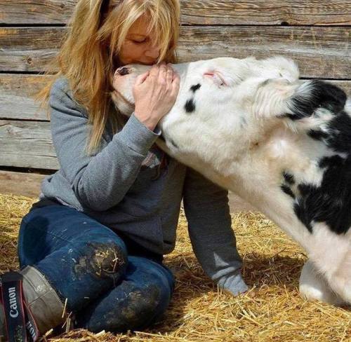 torontopigsave:When you are on the side of compassion and love, you cannot lose.  Live with l