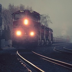 princess-peapod:  i like trains and i hate Tuesdays. i had a bad day today and im blaming it on Tuesday. 🌜🔪🚷🚊 #nottuesday #thursday #train #locomotive #nopedestrian 