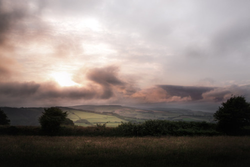 frederick-ardley:  Sun - Fog - Sun - Fog Photographed by Frederick Ardley Follow on Instagram @frederickardley 