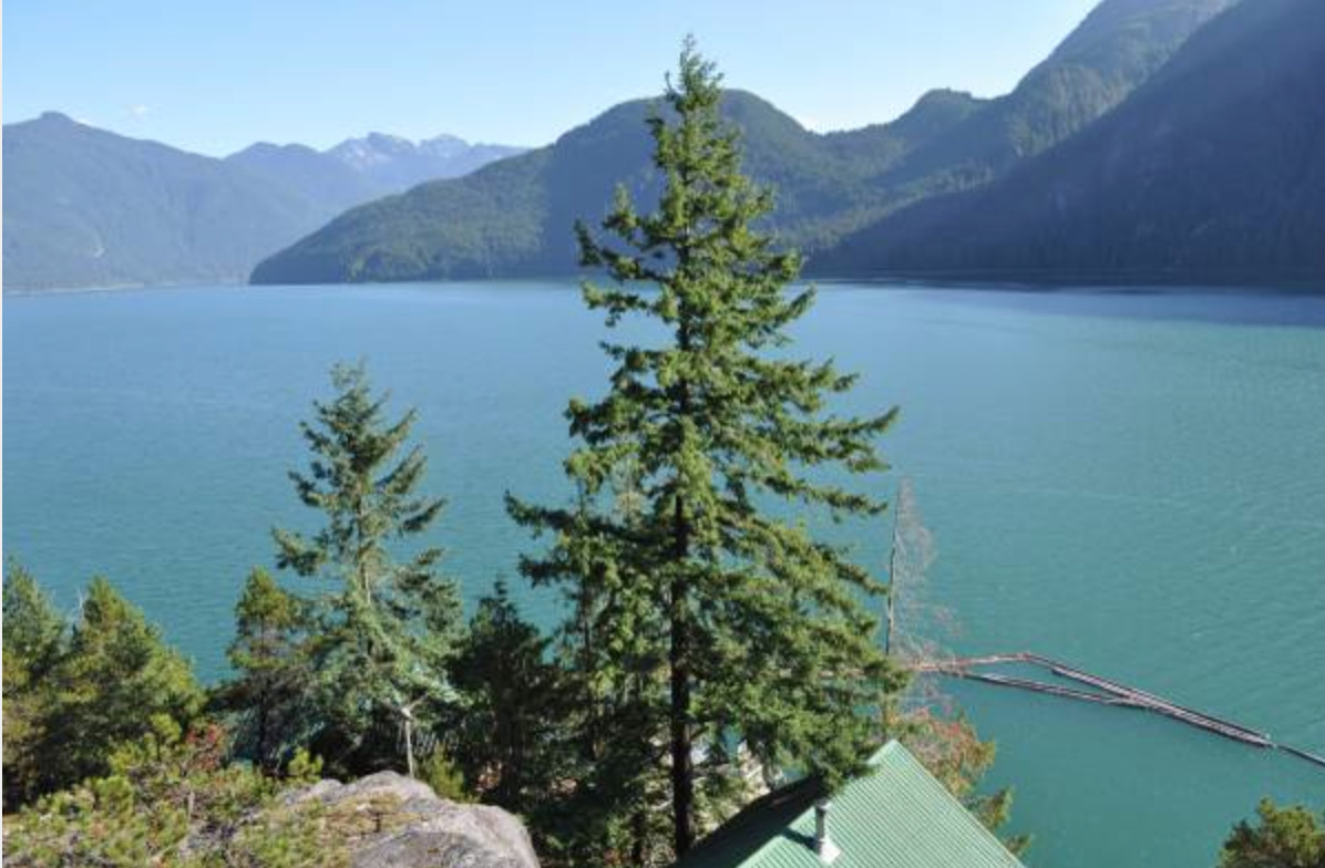 househunting:  $397,000/treehouse cabinPitt Lake, BC  BROSTON THIS IS A DREAM