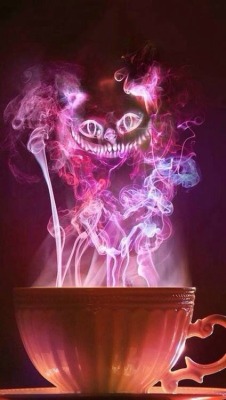 https://64.media.tumblr.com/4f817dcca0f57dd8ba8dadd4ae537847/tumblr_mwq60a7ic71qa2y0oo1_500.jpg