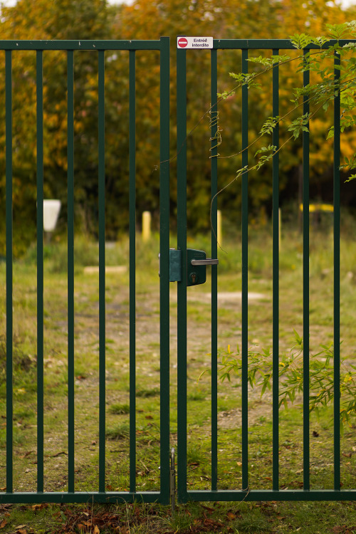 #317 Just a gate.24.October.2015 Barbizon