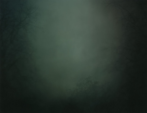 arpeggia:  Nicholas Hughes - In Darkness Visible Verse I, 2005-2007 Artist’s statement: “In reaction to media led sensory anaesthetisation, and wearied by empty political rhetoric, my aim was to construct a forest built from accumulated memory