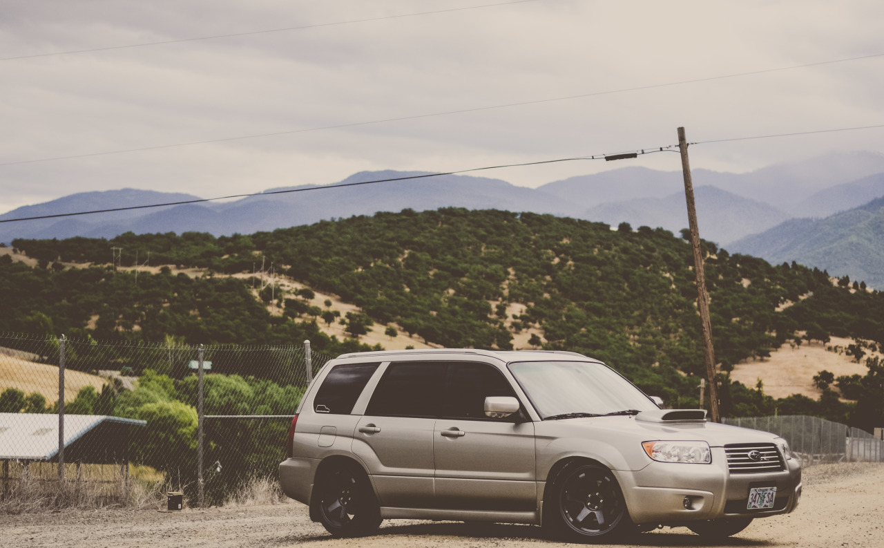 highsch666l:  fozz