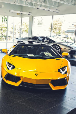 supercars-photography:    9,000 Aventador