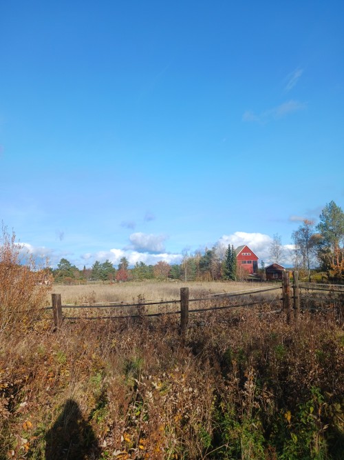 Just Compiled The Pictures I Have Taken This Fall So Far