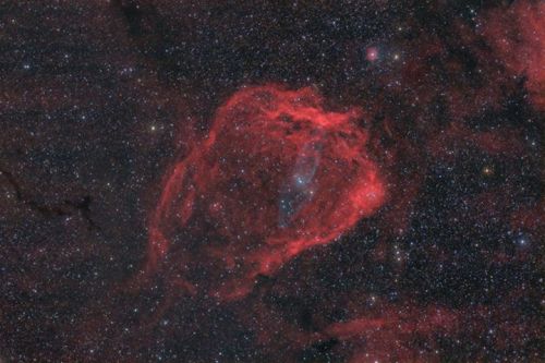 thenewenlightenmentage:The Flying Bat and Squid Nebulae in HaOIIIRGBImage Credit: Scott Rosen