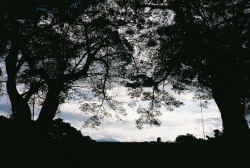 oix:  F1610037 by 4am_mimi on Flickr.