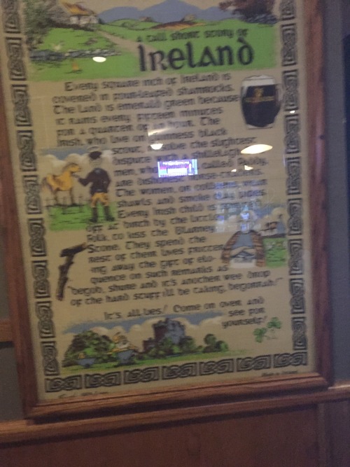 Mini road trip yesterday down to Tacoma/Olympia, took my friends daughter swimming and then went to an Irish pub/ restaurant for dinner and it was amazing