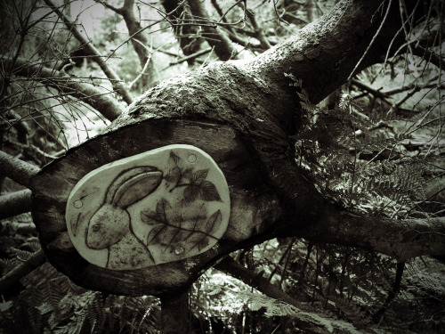 Further Images from Pendle Sculpture Trail in Pendle Wood, near Pendle Hill. The pieces are inspired