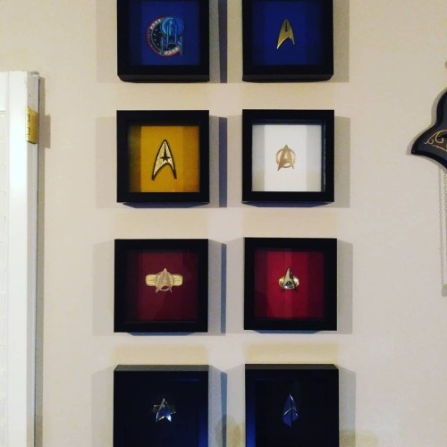 I was finally able to complete my @StarTrek insignia display with the new @fansets #Picard-era comba
