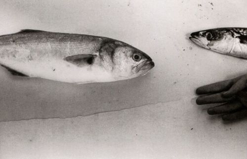 fragrantblossoms: Francesca Woodman.  Untitled,