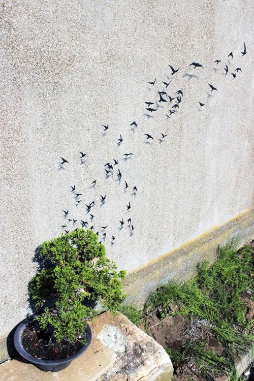 asylum-art-2:  Street art by Pejac