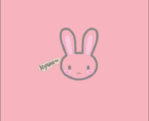 northernprincesse:  ~everything pink~