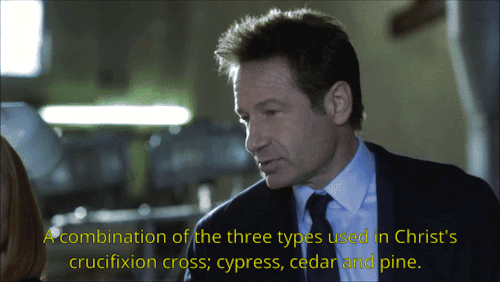 mulders-boyish-enthousiasm:spooky Mulder moment