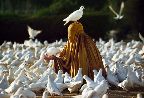 awesome-picz:Photographs That Explore The Relationship Between Animals And Humans By Steve McCurry .