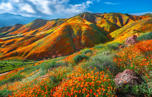 j-k-i-ng:“Walker Canyon“ by | Elliot McGucken