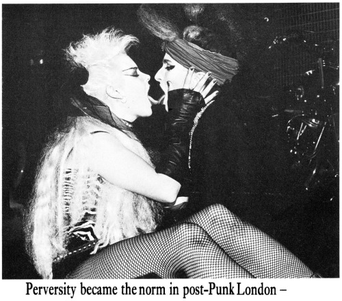 actdog:post-punk perverts