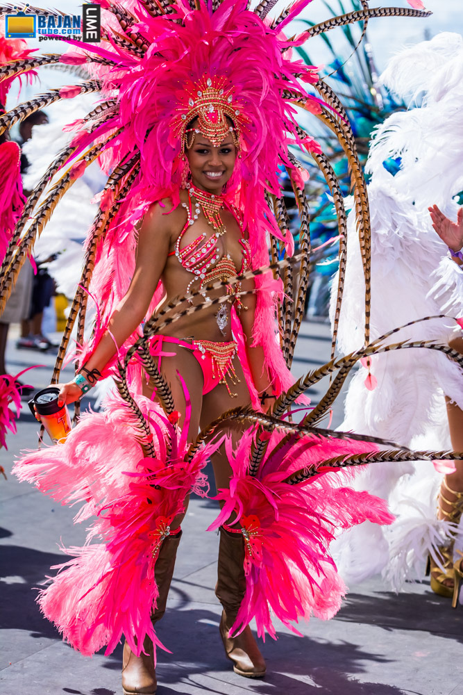 insatiablerasta:  yesnibbles:  Trinidad Carnival 2015 - good people having great