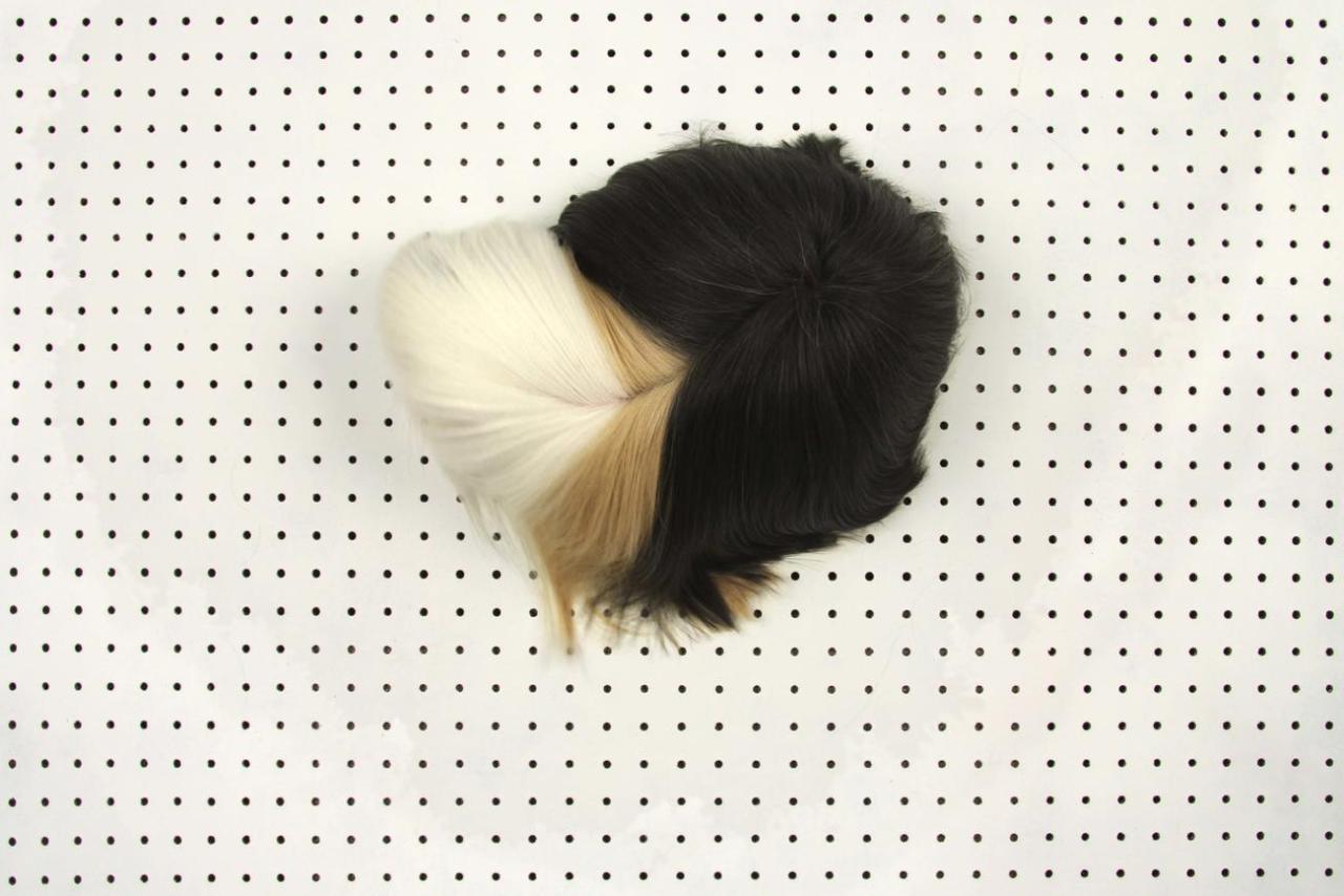 guineapiggies:  via isabel and helen  Lol