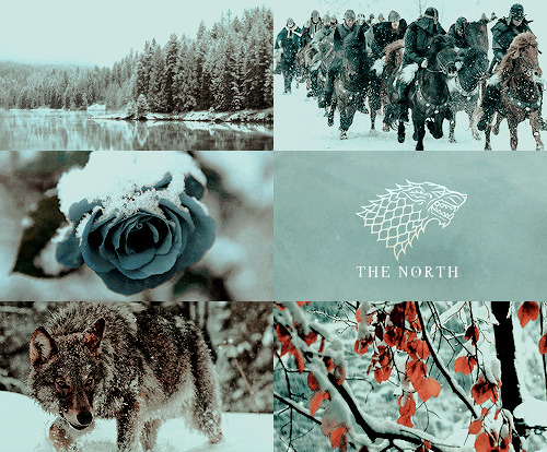 padlme:  a song of ice and fire aesthetics:  W E S T E R O S