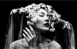 lapetitecole:  Surreal Floral Portraits by Sayaka Maruyama 