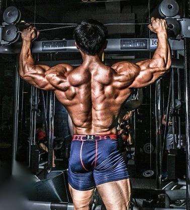 muscle lover