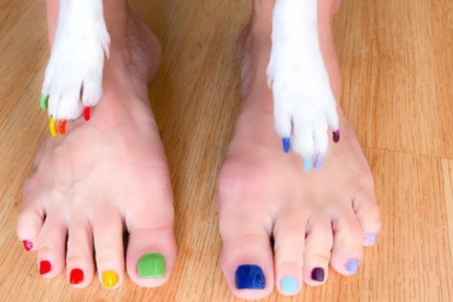 curingdepressionwithmemes: funovels: People Are Getting Matching Pedicures With Their Dogs OMFG I 