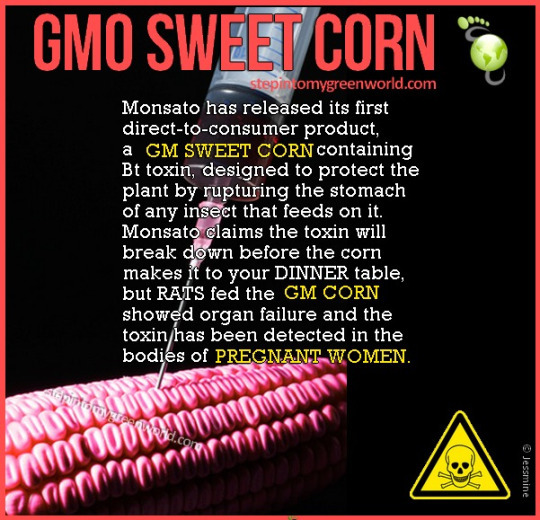 nogmo from Stop GMO and Monsato