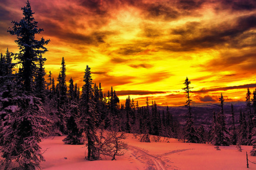 karjars:  JohAnd-myra sunset by Mixmaster on Flickr.