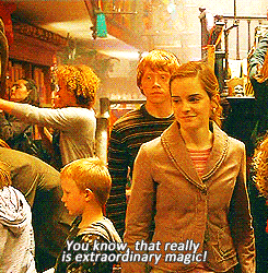 lustgood:   Fred and Hermione book moments  Hermione compliments the Patented Daydream