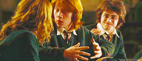 niemzy:  Will You Go to The Yule Ball With Me? 