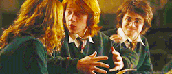 niemzy:  Will You Go to The Yule Ball With Me? 