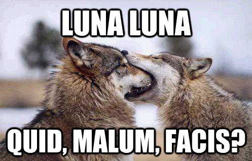 Luna LunaQuid, malum, facis?Moon MoonWTF are you doing?