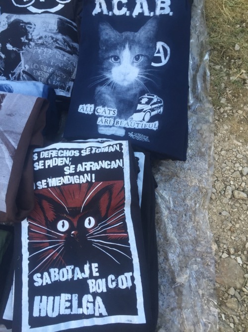 Anarcho-kitties at the Zapatista CompArte in Chiapas