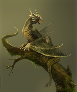 dailydragons:  Amfisbena: Forest Dragon by