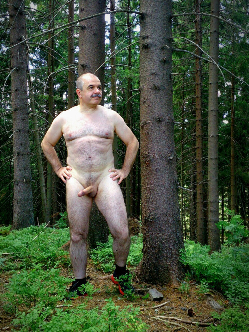 kingminos:  Jano in the Forest!  ❤ ❤ ❤KINGMINOS - 33.000 Followers - ARCHIVE 