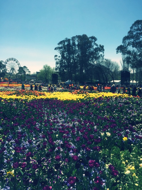 floriade