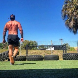 musclecorps: Dan Vitale  