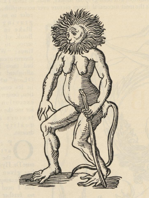 nemfrog: Creature with a lion’s head and woman’s body with a tail.   Illustrat